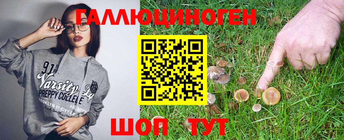 Минеральные Воды  Галлюциногенные грибы Cubensis  Вход с VPN 